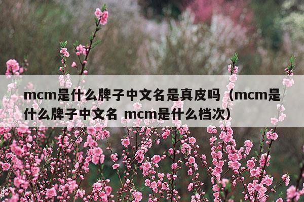 mcm是什么牌子中文名是真皮吗(mcm是啥牌子)