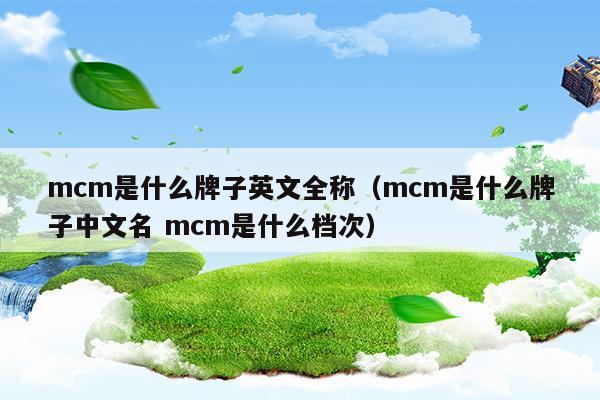 mcm是什么牌子英文全称(mcm是什么牌子中文名 mcm是什么档次)
