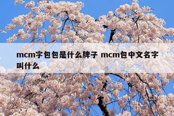 mcm字包包是什么牌子mcm包中文名字叫什么(mcm字母包价格)