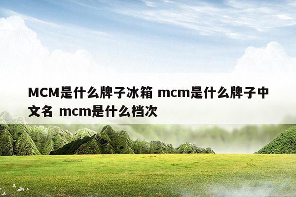MCM是什么牌子冰箱mcm是什么牌子中文名mcm是什么档次(mcm 是什么品牌)
