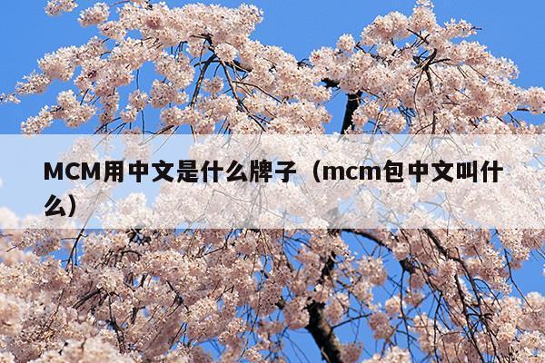 MCM用中文是什么牌子(mcm包包是什么牌子几线)