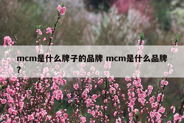mcm是什么牌子的品牌mcm是什么品牌(mcm是什么牌子的包包)