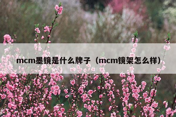 mcm墨镜是什么牌子中文名