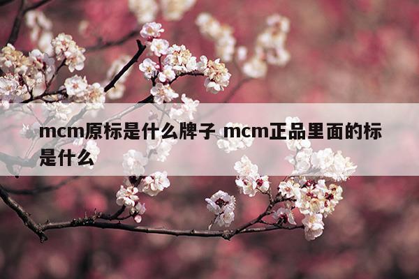 mcm原标是什么牌子mcm正品里面的标是什么(mcm原厂)