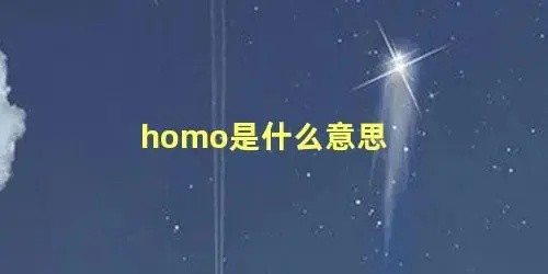 homo是什么意思-homo是什么意思b站当时