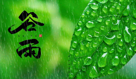 谷雨的寓意和象征，谷雨的寓意和象征是什么？