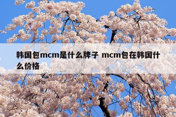 韩国包mcm是什么牌子mcm包在韩国什么价格(mcm的包在韩国什么价位)