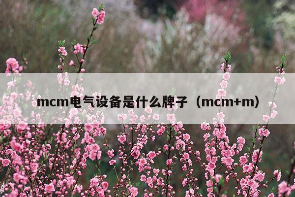 mcm电气设备是什么牌子(mcm+m-mr)