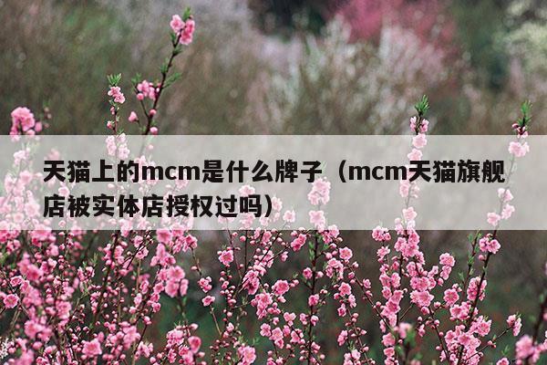 天猫上的mcm是什么牌子(天猫上的mcm是什么牌子)