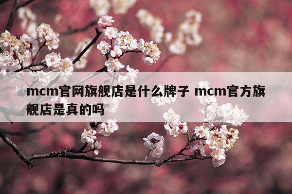 mcm中国官方网站是真的吗