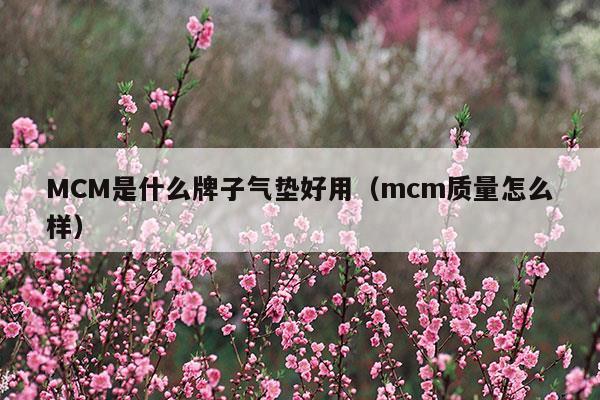 MCM是什么牌子气垫好用(mcm是什么牌子的包)