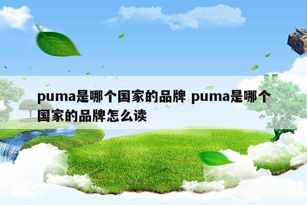 puma是哪个国家的品牌puma是哪个国家的品牌怎么读(国家开放大学一网一平台登录入口)
