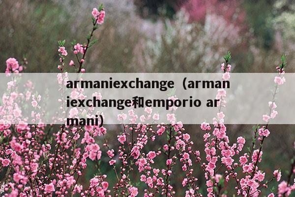 armaniexchange(armani exchange是不是阿玛尼)