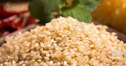 糙米是什么米-糙米是什么米要由稻壳
