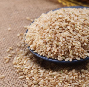 糙米是什么米-糙米是什么米着很好的