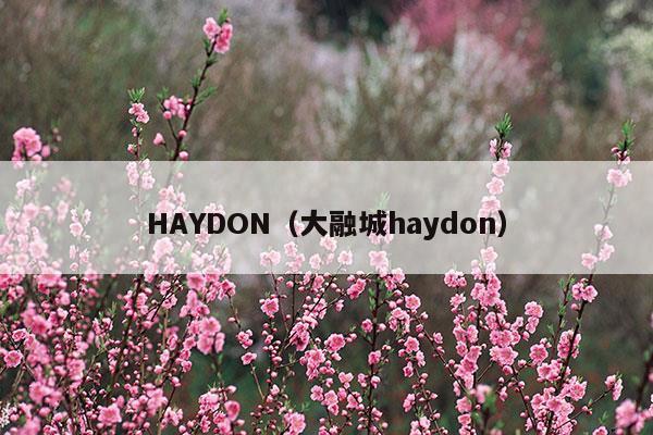 HAYDON(haydon官网)