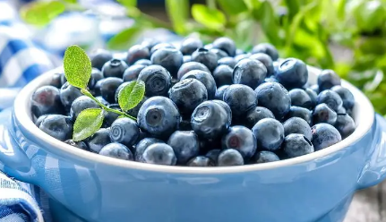 蓝莓的好处和功效，蓝莓热量高吗，减肥能吃吗
