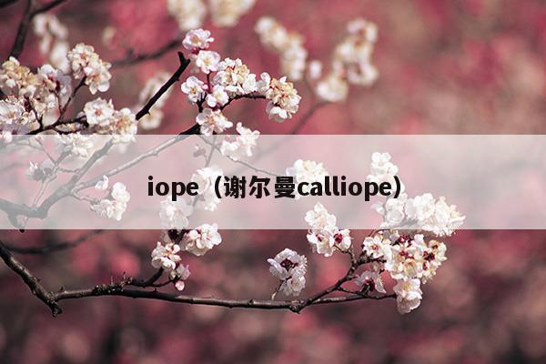 iope(iope官网旗舰店)