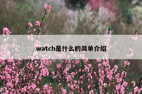 watch是什么的简单介绍(小米手表watch2功能介绍)