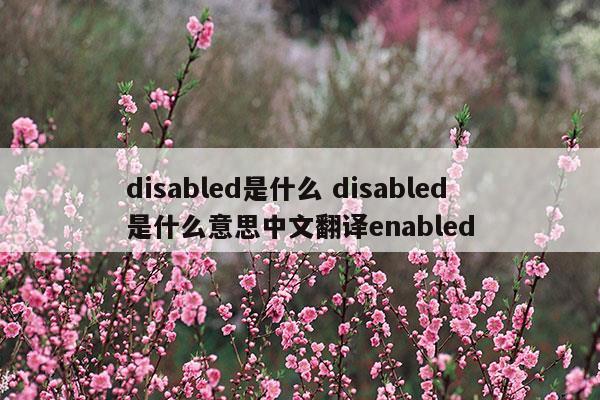 disabled是什么disabled是什么意思中文翻译enabled