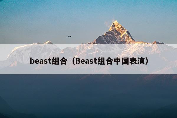 beast组合(beast组合成员资料)