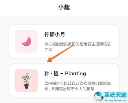 种植植物观察记录表(北京市中小学生植物种植大赛)