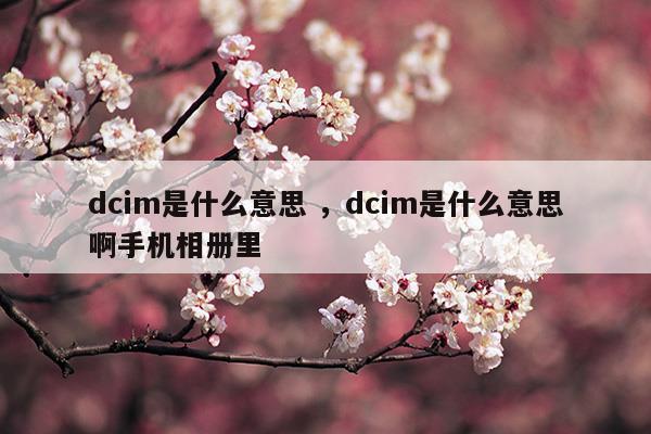 dcim是什么意思dcim是什么意思啊手机相册里(dcim是什么意思dcim是什么意思啊手机相册里)