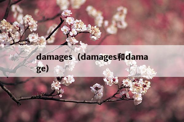 damages(damages和damage)
