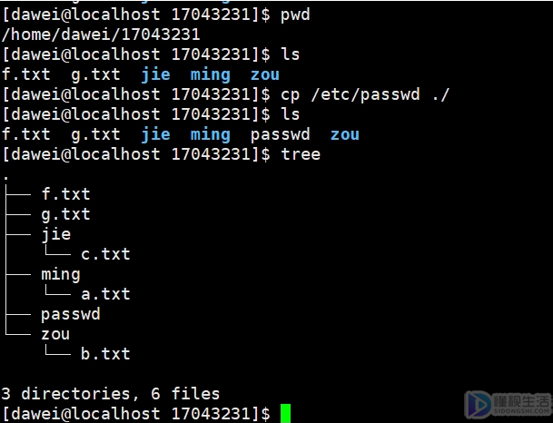 linux打开txt文件命令(linux打开txt文件命令行)