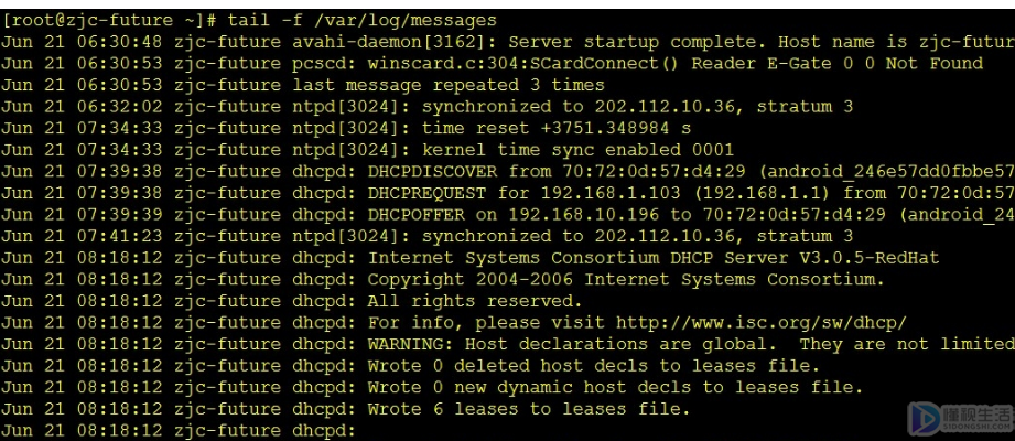 linux中执行文件命令